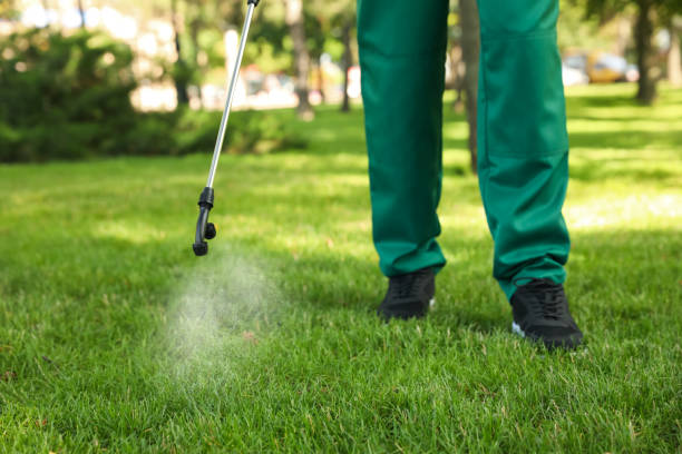 Professional Pest Control in Weatherford, OK