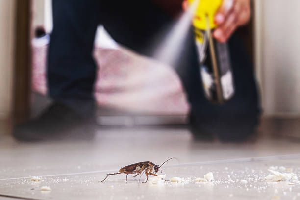 Best Mosquito Control Services  in Weatherford, OK